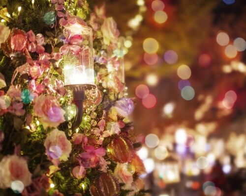 クリスマスカラー