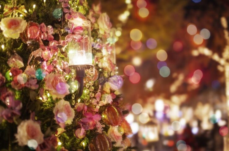 クリスマスカラー